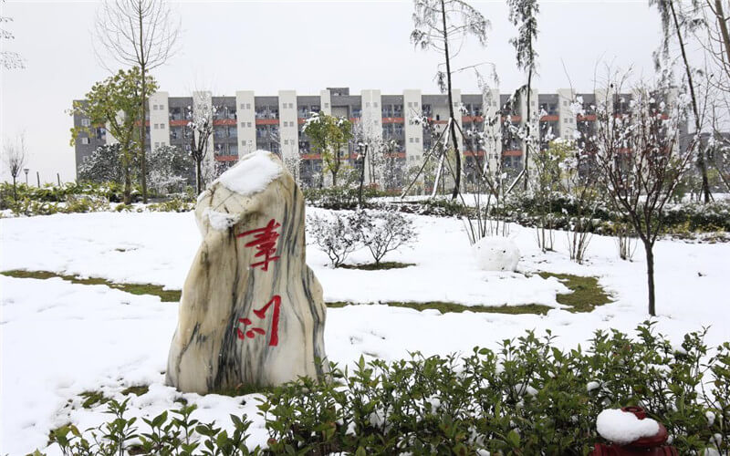 重庆医药高等专科学校_校园风光_学校景色