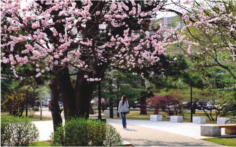 沈阳农业大学_校园风光_学校景色