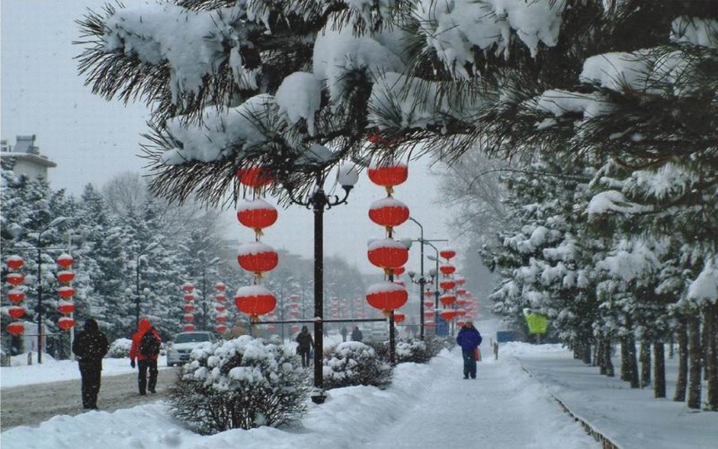 沈阳农业大学_校园风光_学校景色