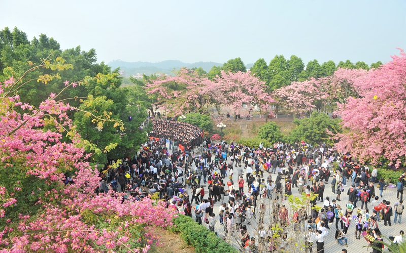 广州软件学院_校园风光_365电子游戏(中国)官方网站景色