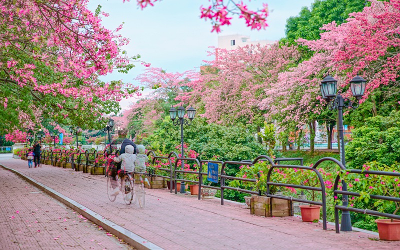 广州软件学院_校园风光_365电子游戏(中国)官方网站景色