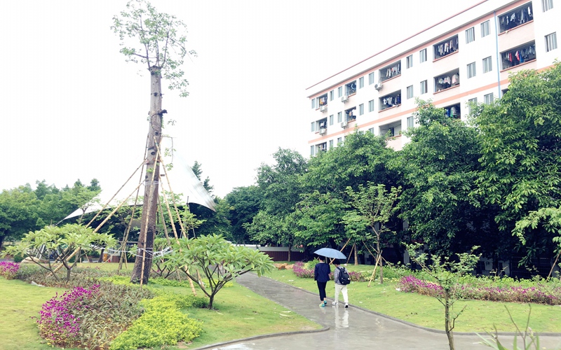 广州涉外经济职业技术学院_校园风光_学校景色