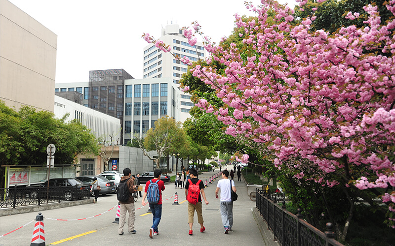 东华大学_校园风光_学校景色