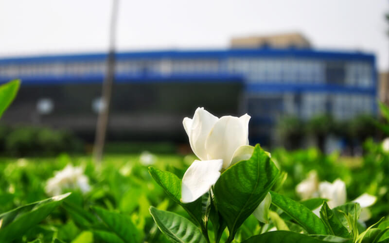 东华大学_校园风光_学校景色