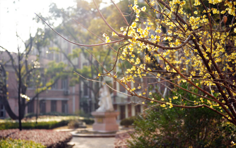 东华大学_校园风光_学校景色