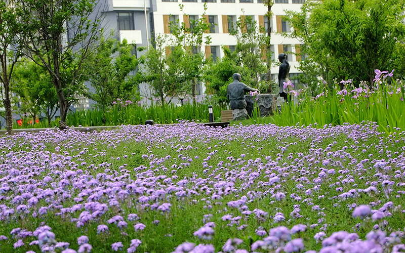 上海电力大学_校园风光_365电子游戏(中国)官方网站景色