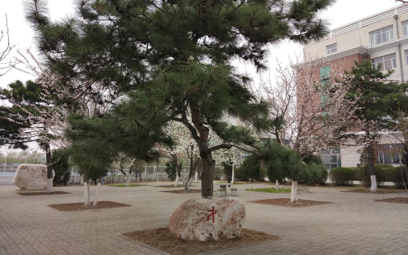 长春工业大学人文信息学院_校园风光_学校景色