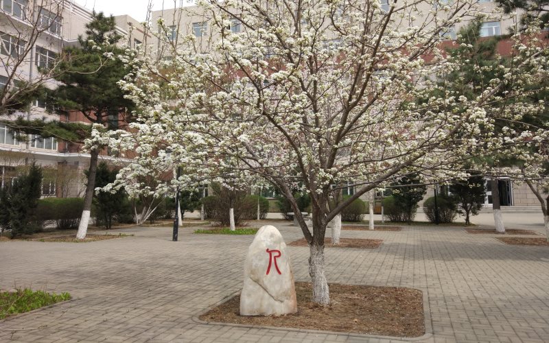 长春工业大学人文信息学院_校园风光_学校景色