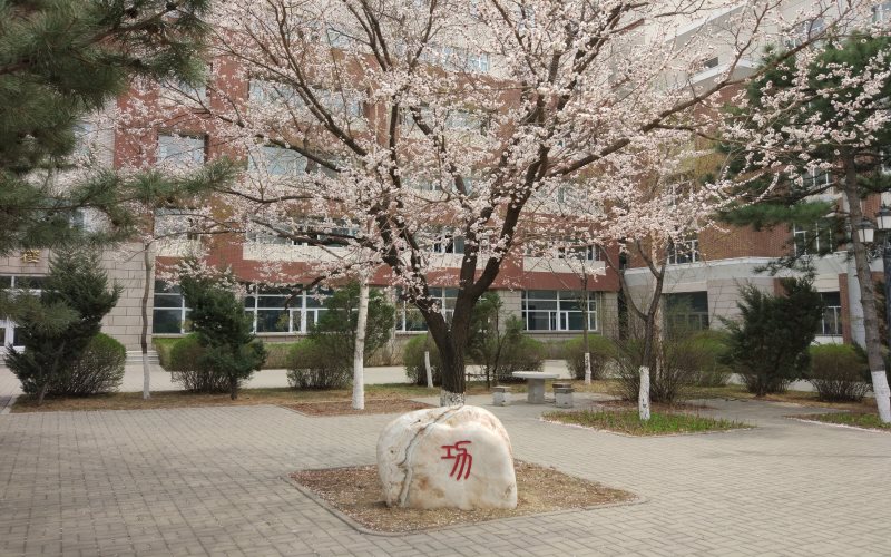 长春工业大学人文信息学院_校园风光_学校景色