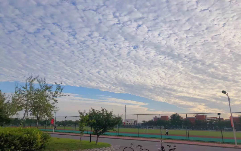 北京科技大学天津学院_校园风光_学校景色