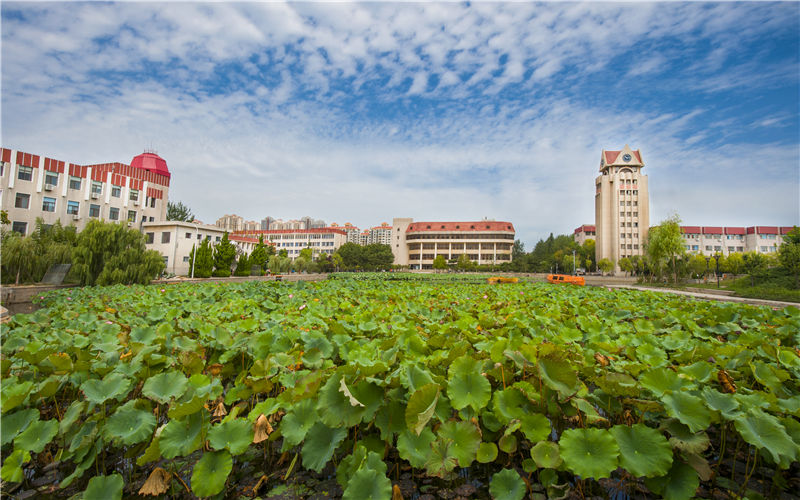 烟台大学_校园风光_365电子游戏(中国)官方网站景色