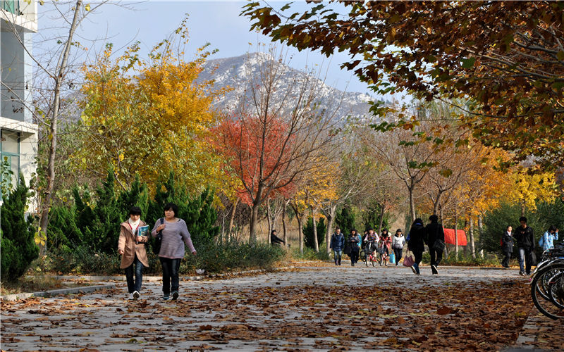 齐鲁工业大学_校园风光_学校景色