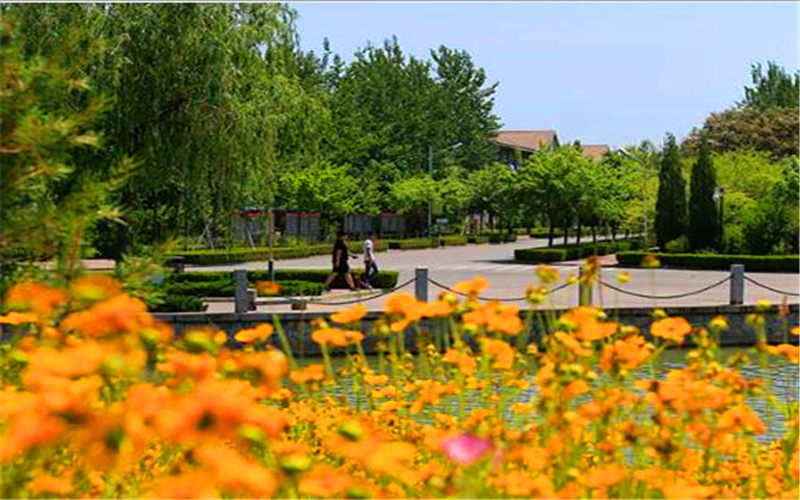 山东科技职业学院_校园风光_学校景色