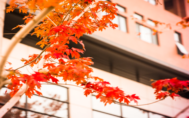 北京工商大学嘉华学院_校园风光_学校景色