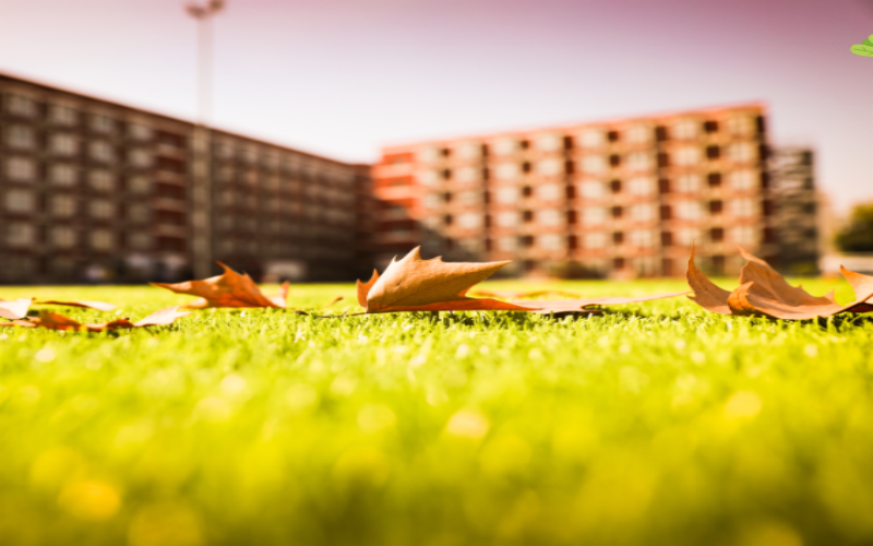 北京工商大学嘉华学院_校园风光_学校景色