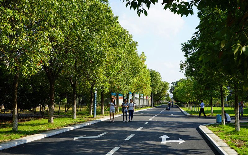 民办合肥滨湖职业技术学院_校园风光_学校景色