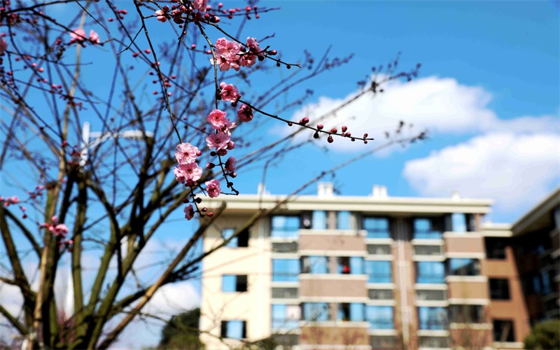 眉山药科职业学院_校园风光_学校景色