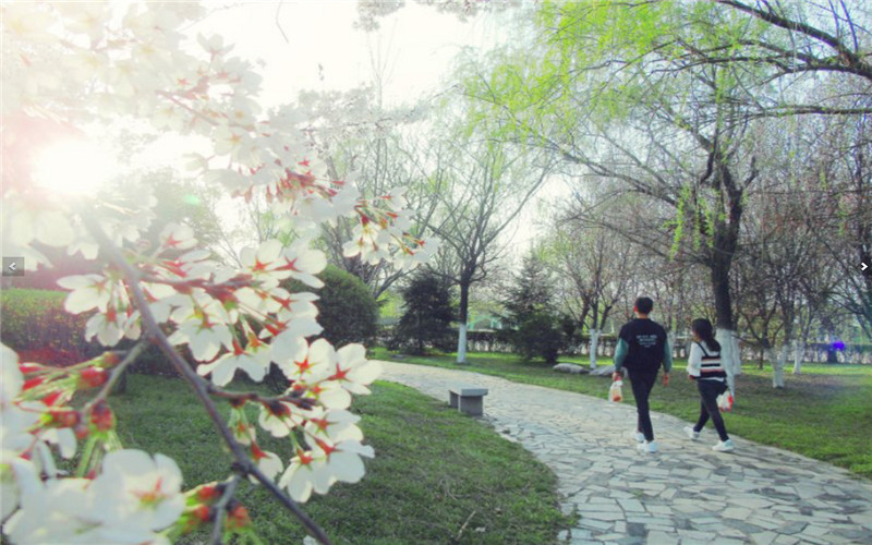 陕西职业技术学院_校园风光_学校景色