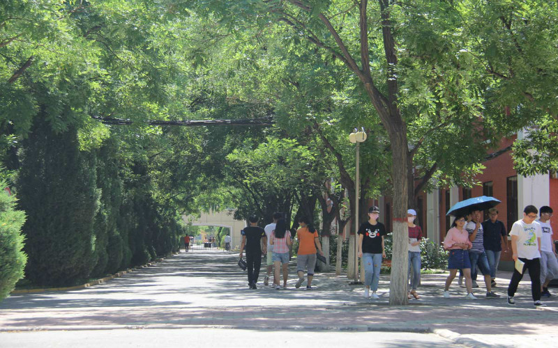 银川能源学院_校园风光_学校景色