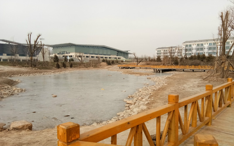 青海师范大学_校园风光_学校景色