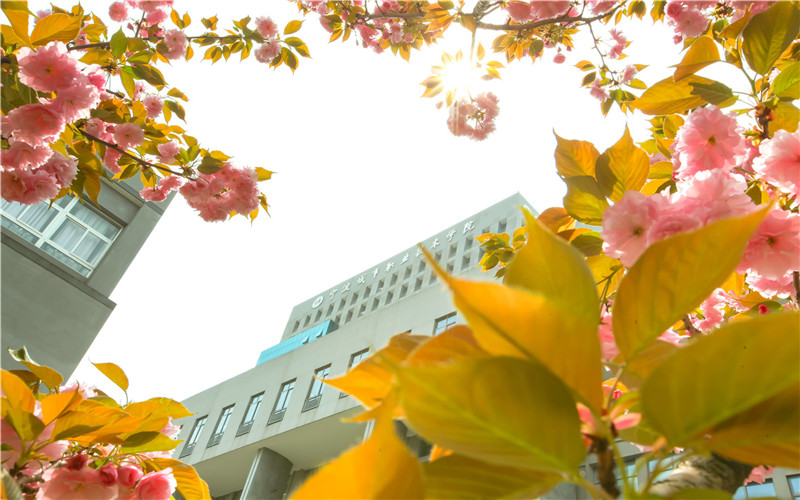 宁波城市职业技术学院_校园风光_学校景色