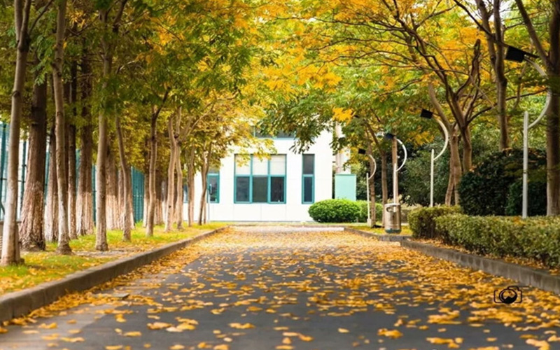 浙江水利水电学院_校园风光_学校景色