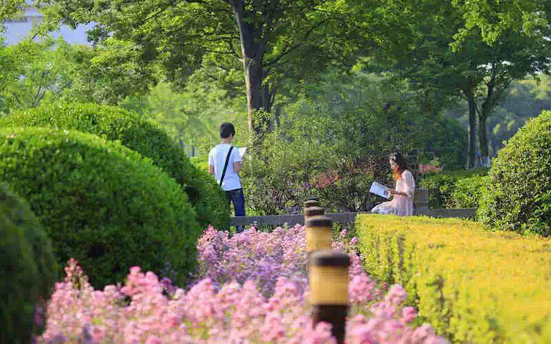 上海大学_校园风光_365电子游戏(中国)官方网站景色