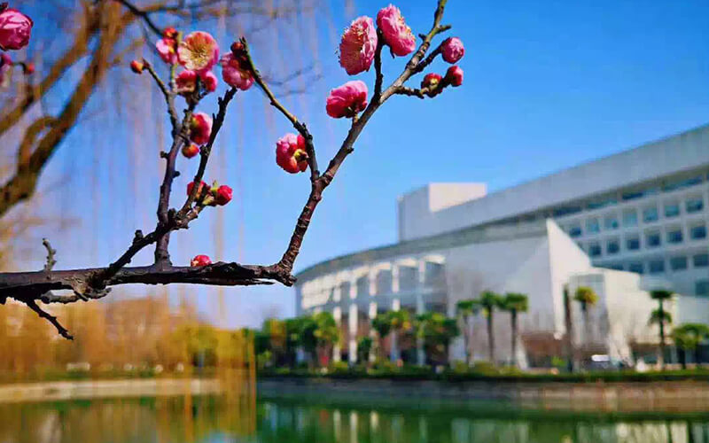 上海大学_校园风光_学校景色