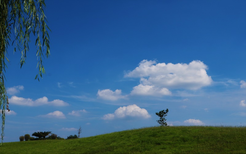 成都东软学院_校园风光_学校景色