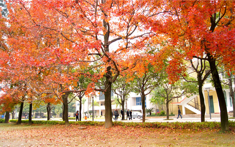 福州大学_校园风光_学校景色