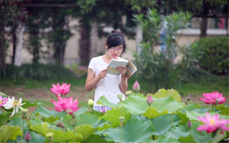 合肥师范学院_校园风光_学校景色