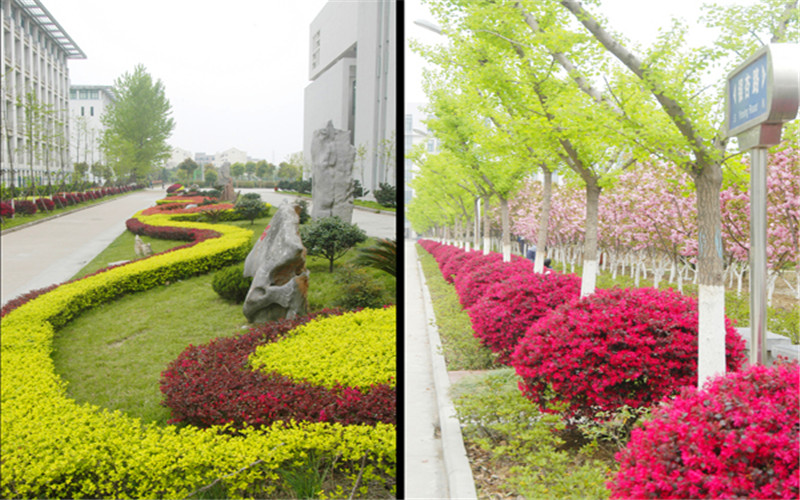 合肥师范学院_校园风光_学校景色