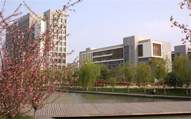 合肥大学_校园风光_学校景色