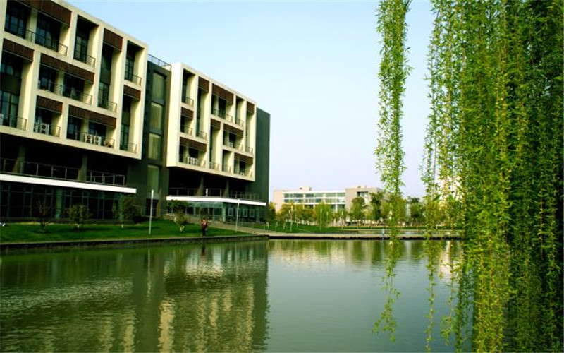 合肥大学_校园风光_学校景色