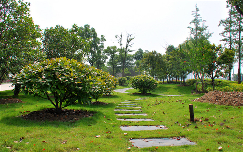 安徽城市管理职业学院_校园风光_学校景色