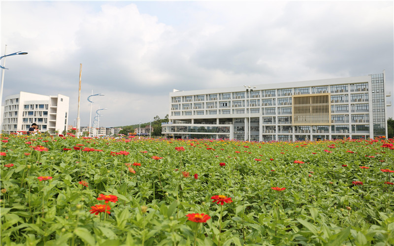 广西财经学院_校园风光_学校景色