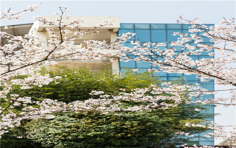 湖北理工学院_校园风光_学校景色