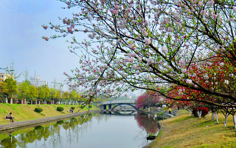 三峡大学_校园风光_学校景色