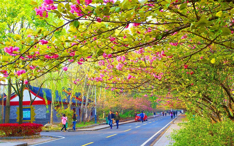 武汉生物工程学院_校园风光_学校景色