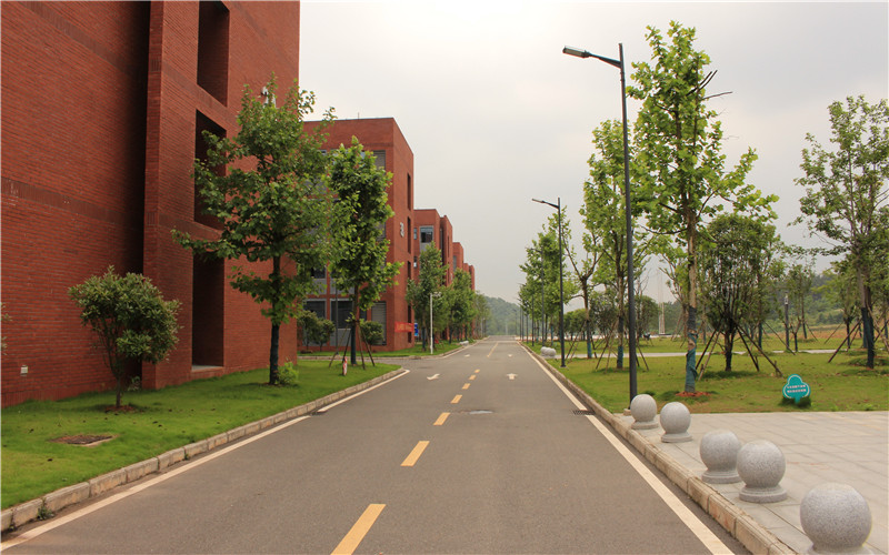 湖北师范大学文理学院_校园风光_学校景色