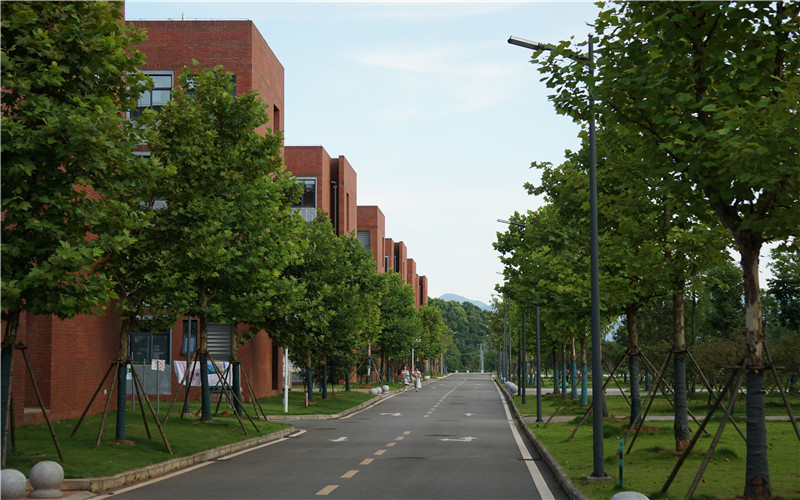 湖北师范大学文理学院_校园风光_学校景色