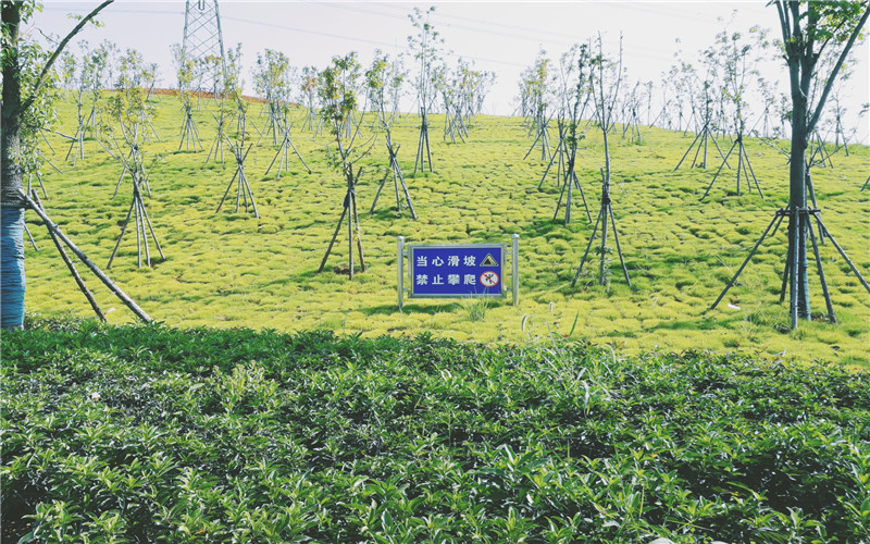 湖北师范大学文理学院_校园风光_学校景色