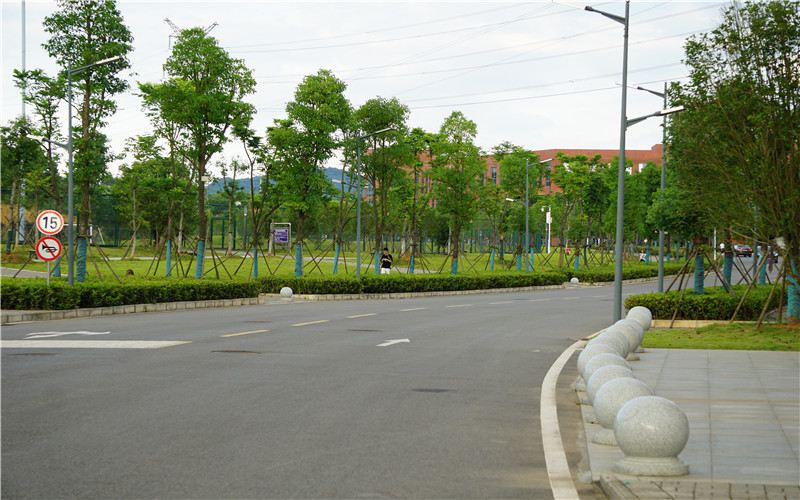 湖北师范大学文理学院_校园风光_学校景色