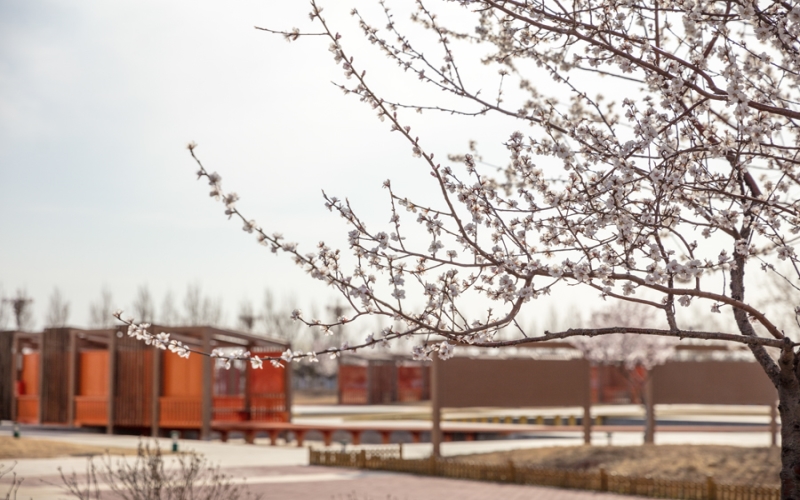 盘锦职业技术学院_校园风光_学校景色