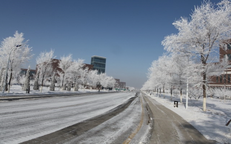 抚顺师范高等专科学校_校园风光_学校景色