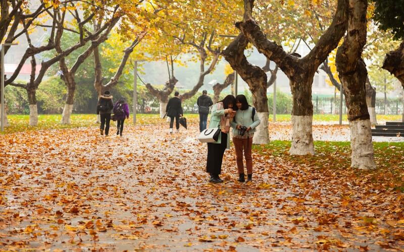 南京艺术学院_校园风光_学校景色