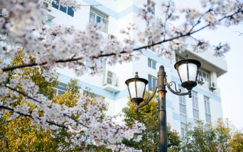 南京中医药大学_校园风光_学校景色