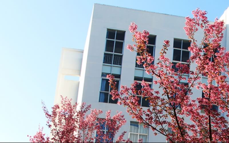 楚雄师范学院_校园风光_学校景色