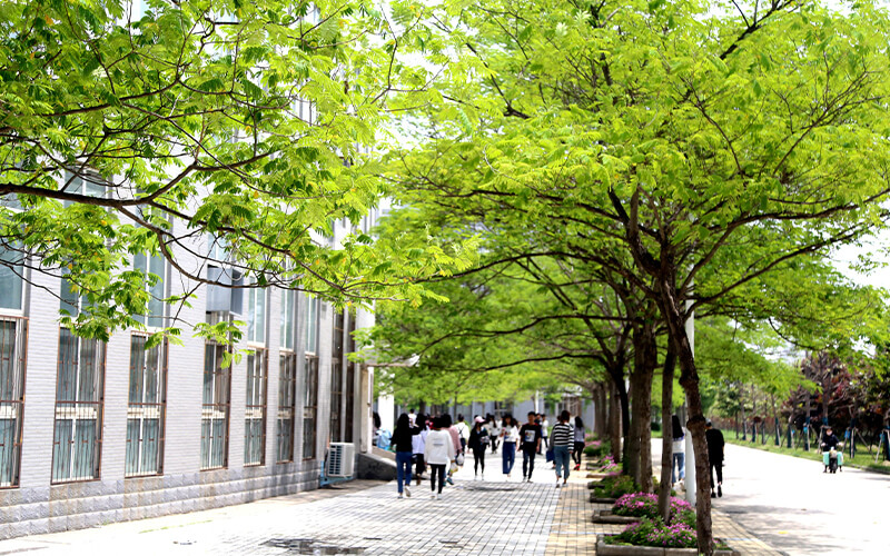 周口职业技术学院_校园风光_学校景色