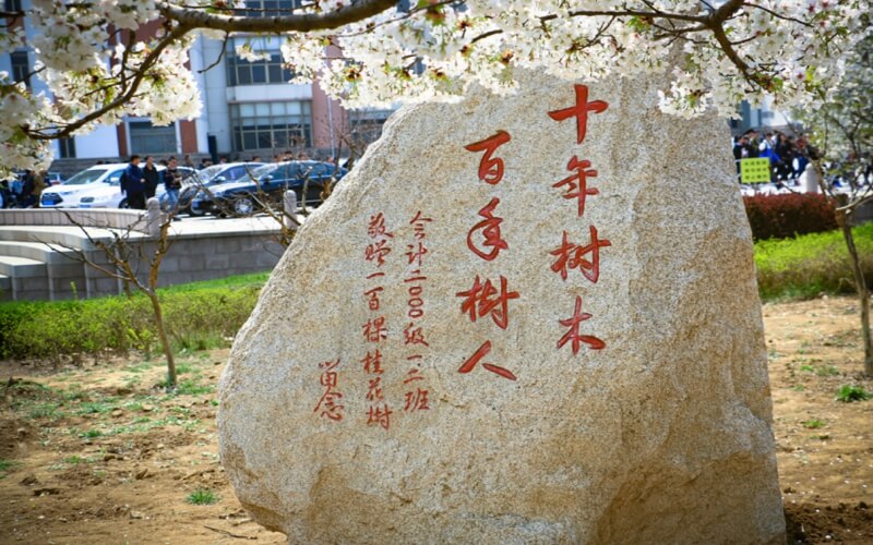 青岛农业大学_校园风光_学校景色